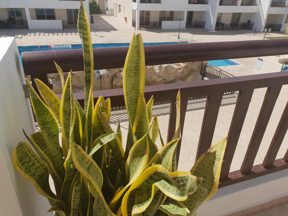 Stunning Apartment C106 With Balcony Looking Over Pool بييا المظهر الخارجي الصورة